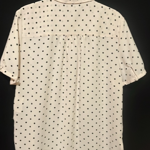 Anne Klein - Picture 5 of 5